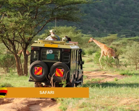 safari in Uganda itinerary