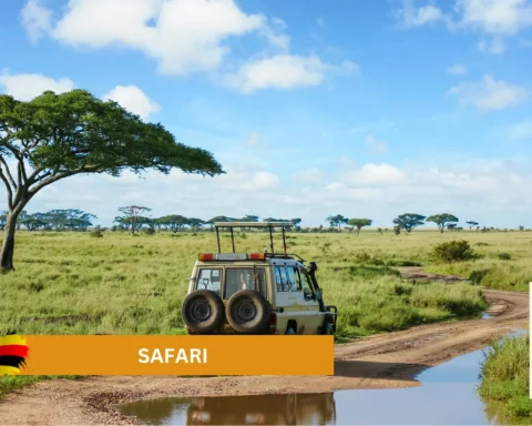 uganda safaris and tours