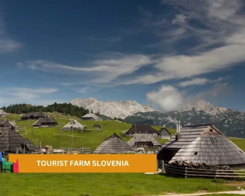 tourist farm slovenia
