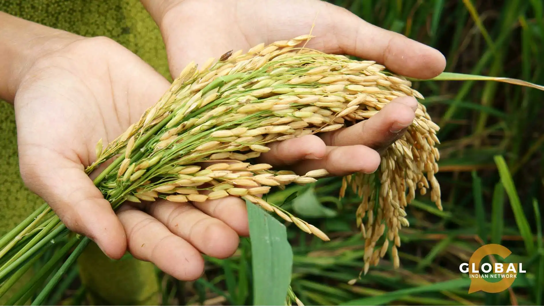 Bioengineering for Food Security