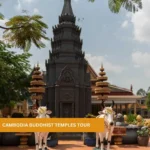 Cambodia Buddhist temples tour