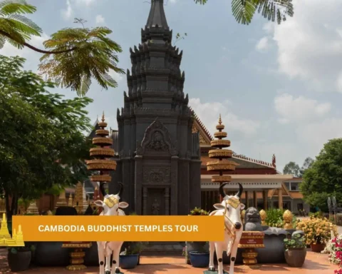 Cambodia Buddhist temples tour