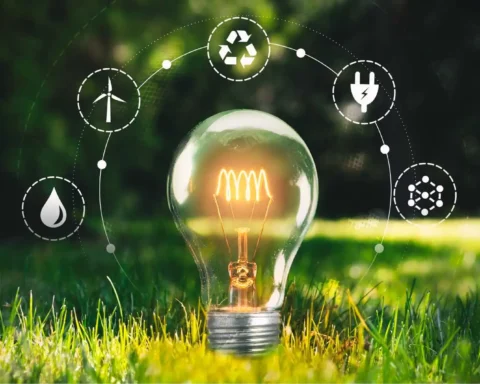 Causes of the energy crisis