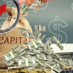 Diaspora Capital