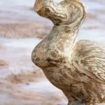 Dodo