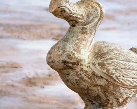 Dodo