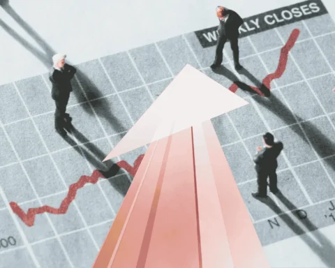Evolution of a Business Organisation in the Digital Age