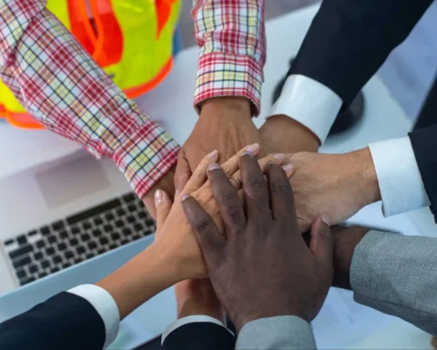Indian Diaspora Mentorship Circle