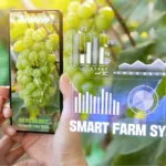 Smart farming in rural India 2026