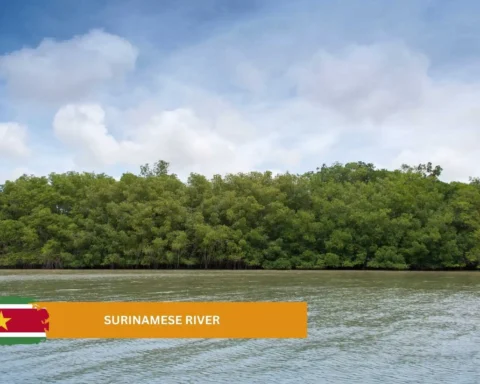 Surinamese river