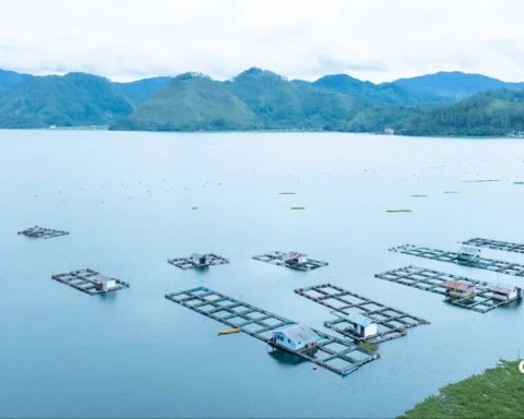Sustainable aquaculture projects in india