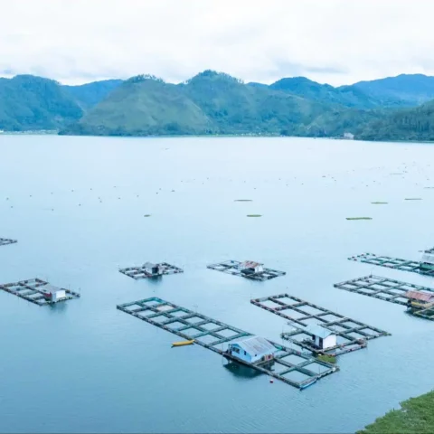 Sustainable aquaculture projects in india