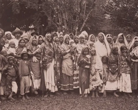 Trinidadian Hindustani