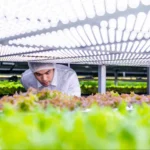 agri tech companies in India