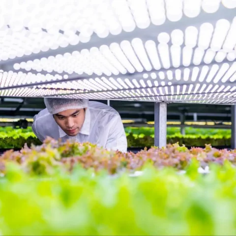 agri tech companies in India