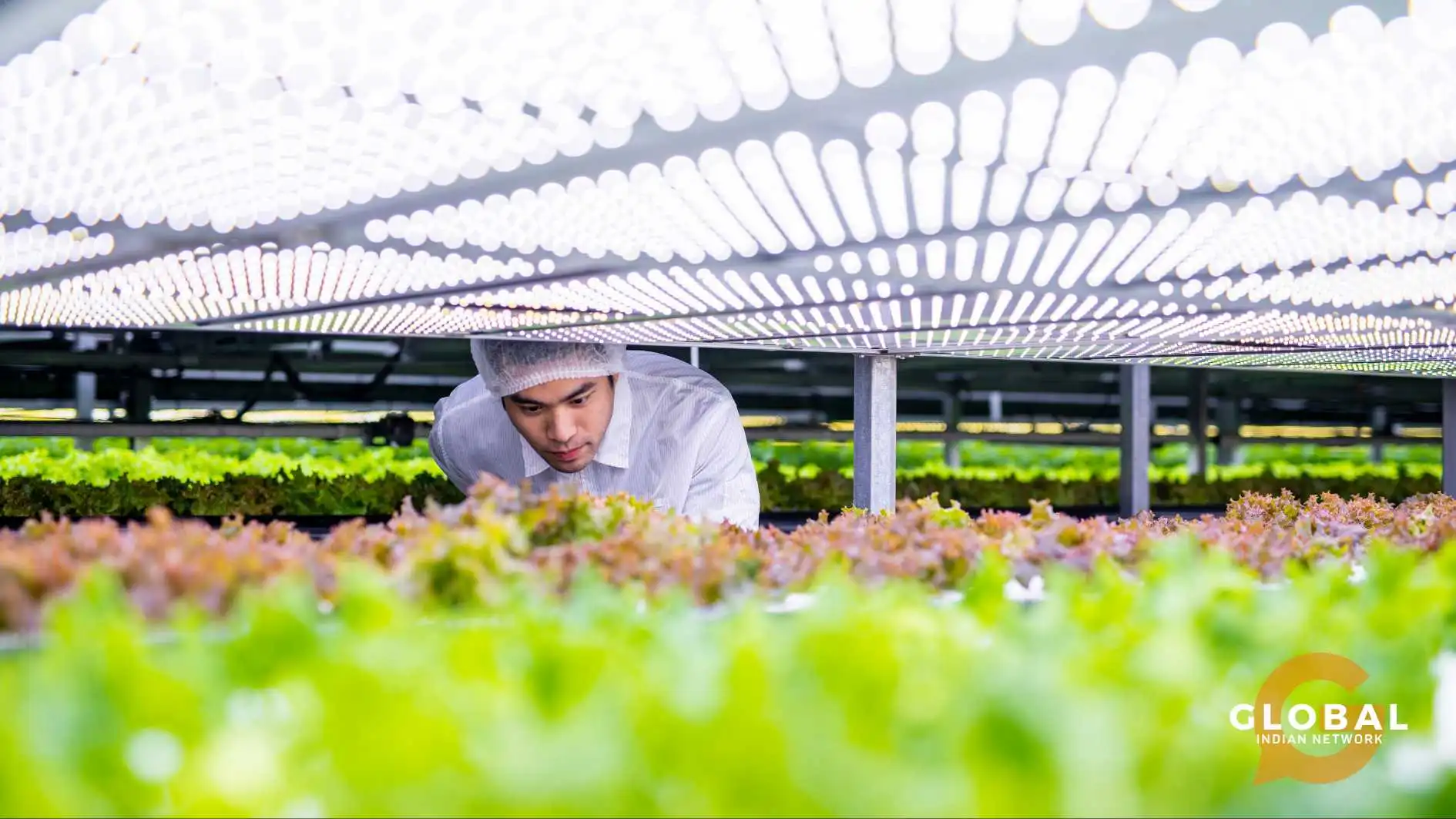 agri tech companies in India
