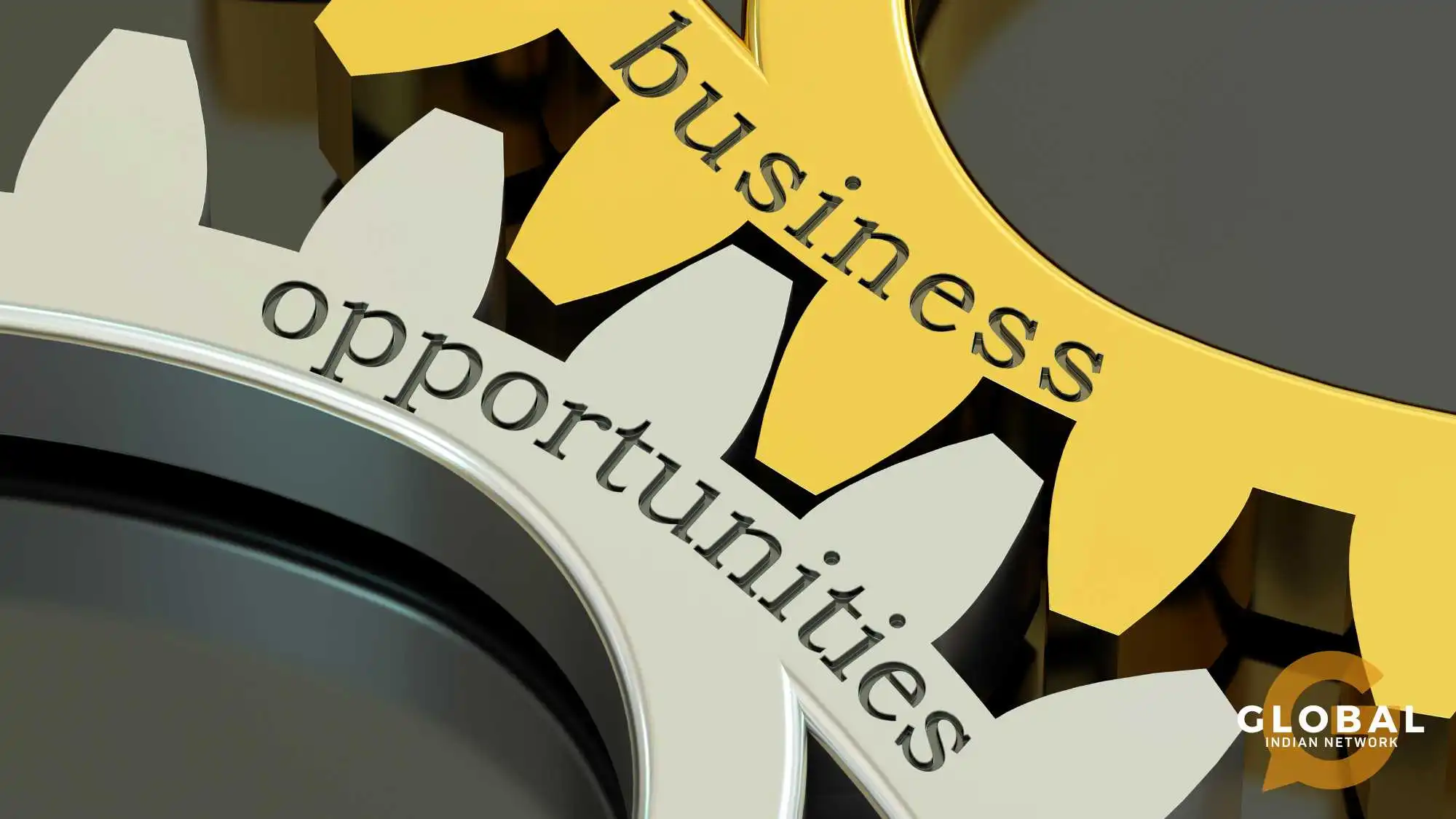 business opportunities in suriname