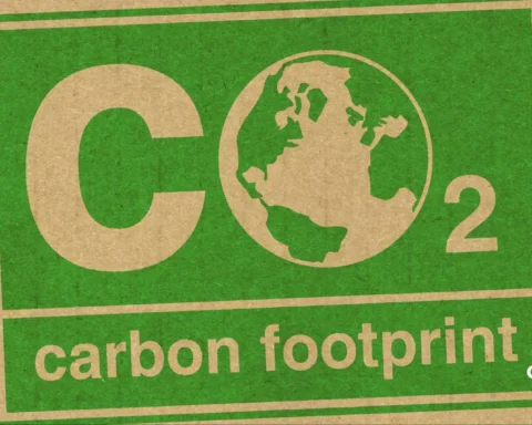 carbon footprint project management