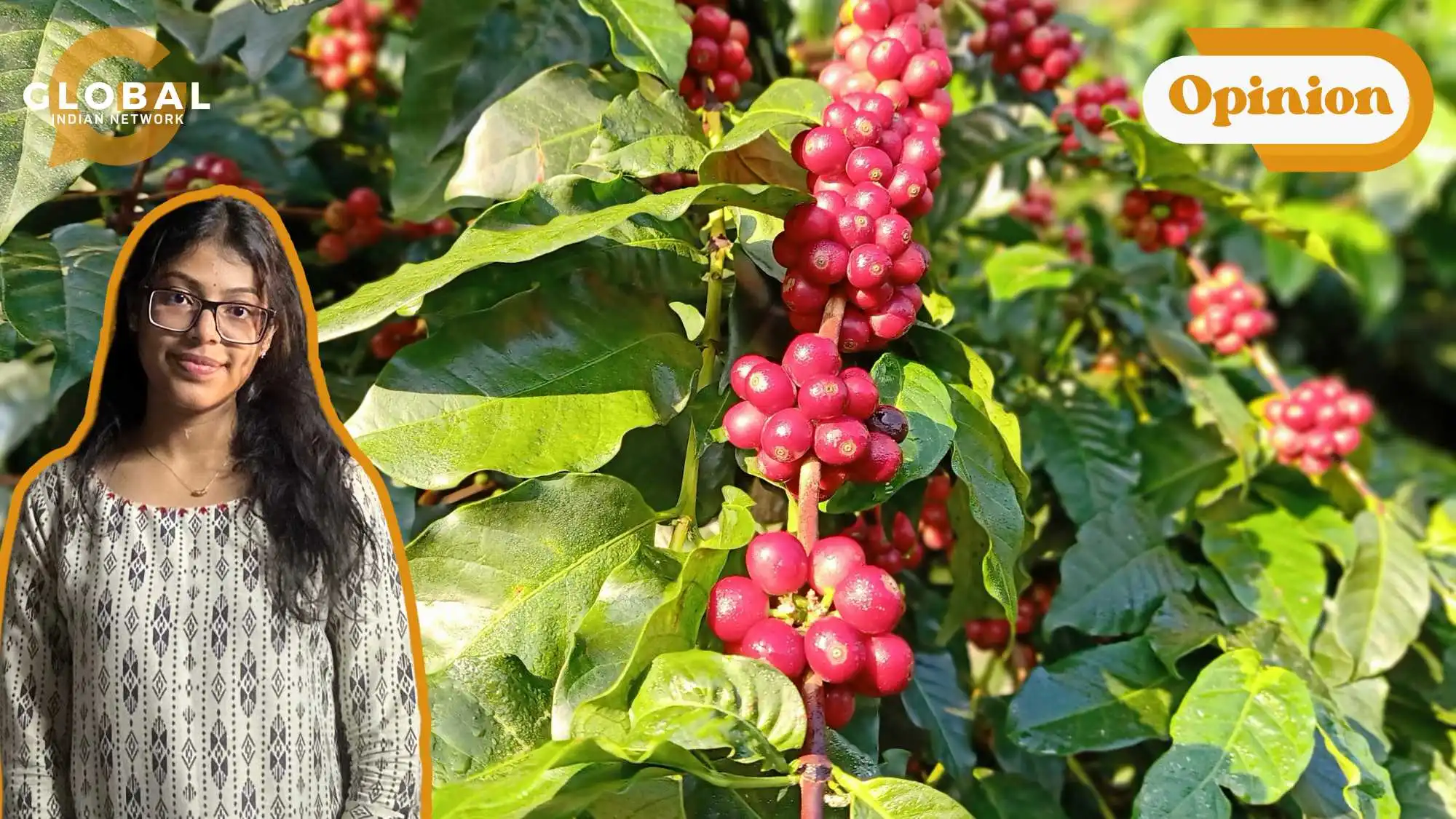 chikmagalur coffee