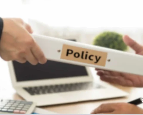 classification of business policy