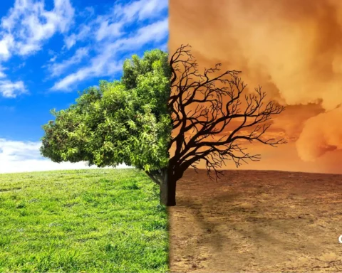 climate change adaptation