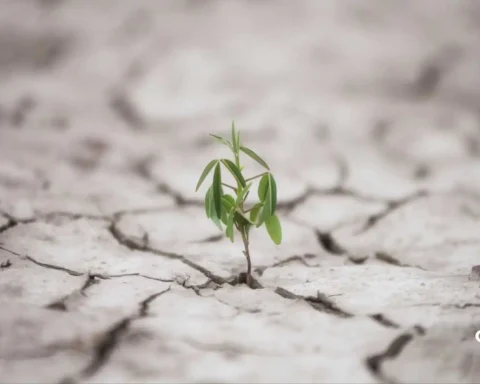 climate-resilient