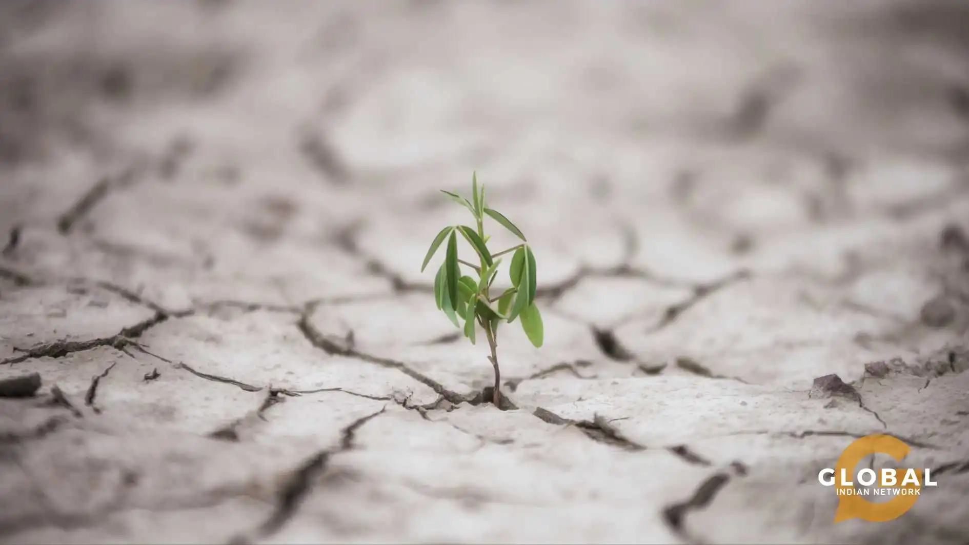 climate-resilient