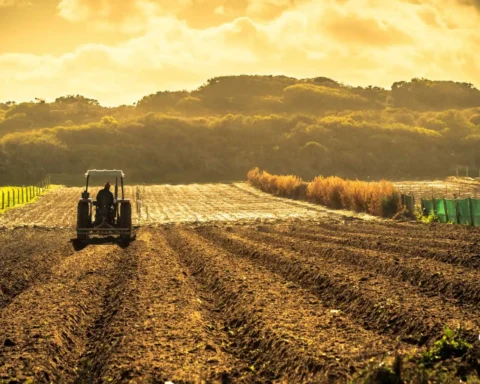 difference between sustainable agriculture and modern agriculture