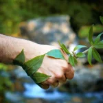 famous environmentalists in india