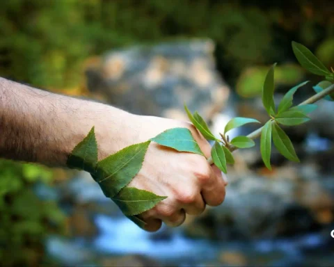 famous environmentalists in india