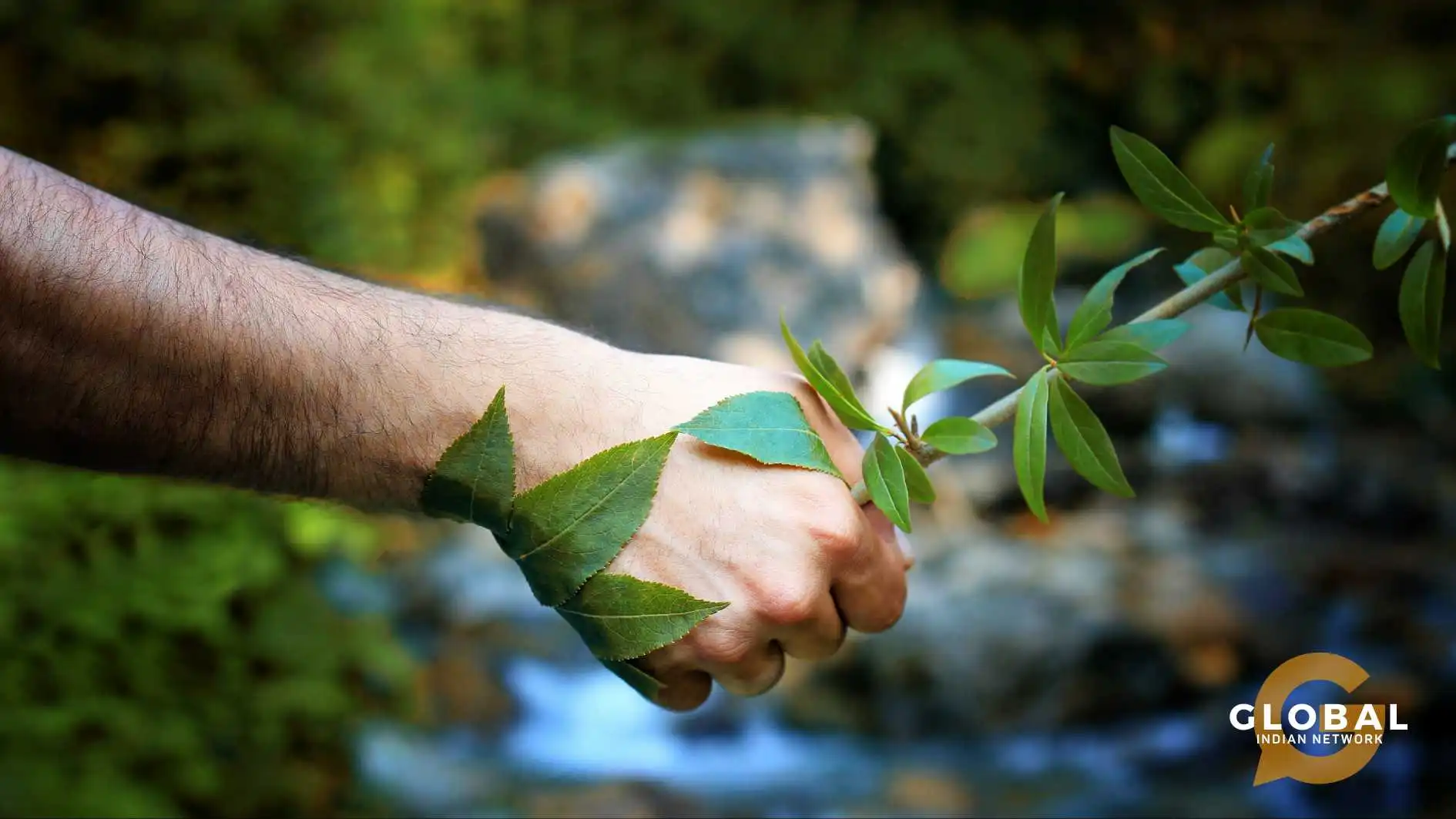 famous environmentalists in india