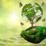 forest protection