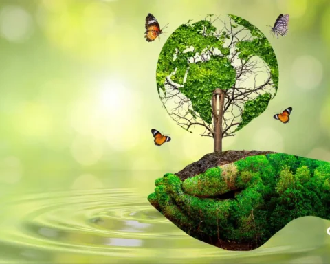 forest protection