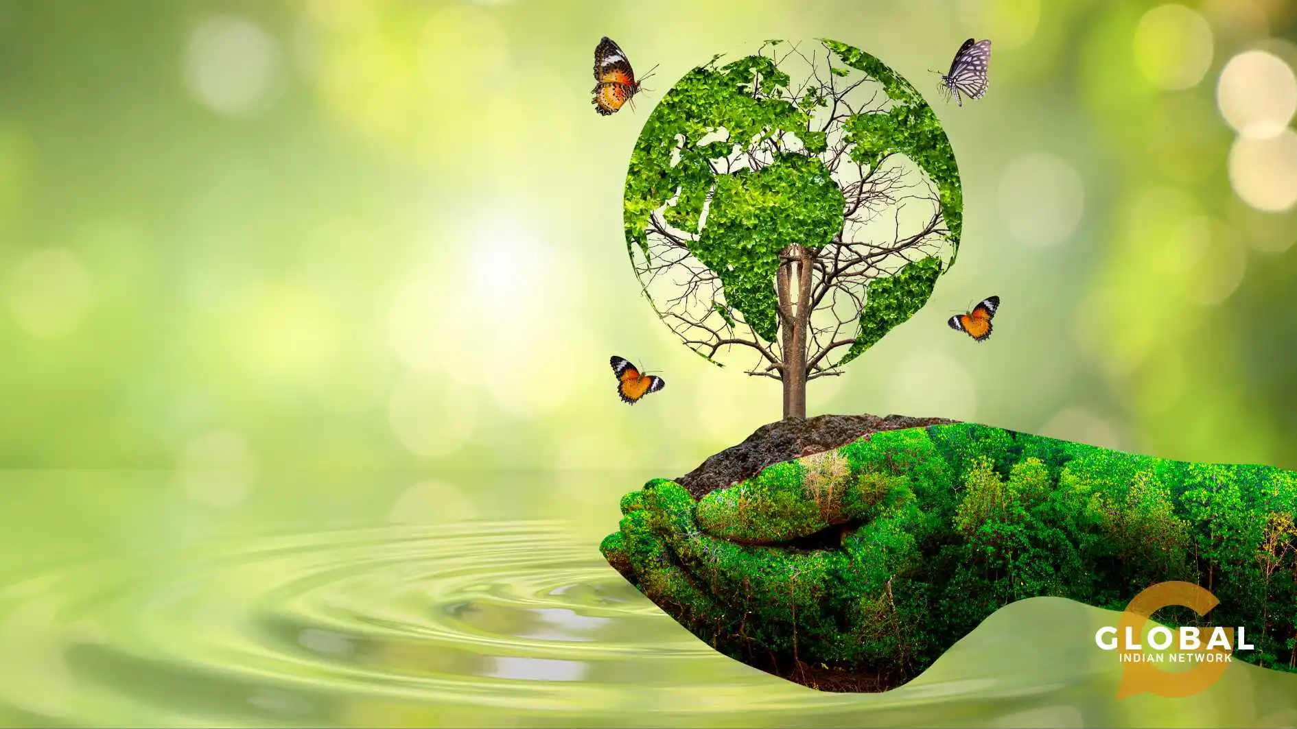 forest protection