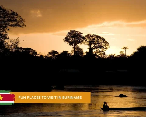 fun places to visit in suriname