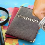 global Indian wallet