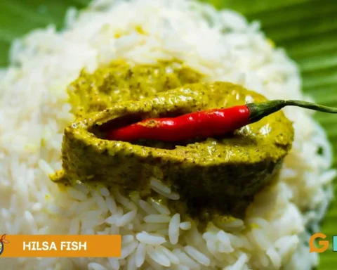 hilsa fish