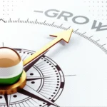 how does the global Indian community help India