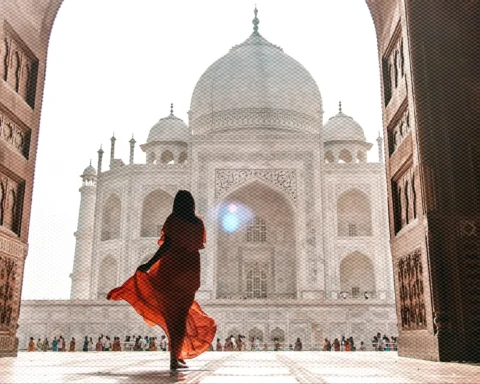 how to give back to India from abroad