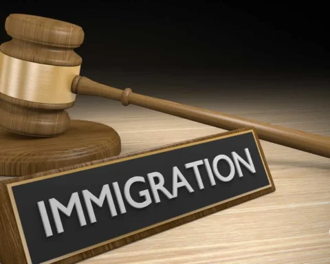 immigration and protection tribunal