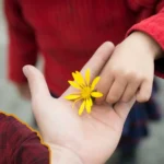 importance of gratitude