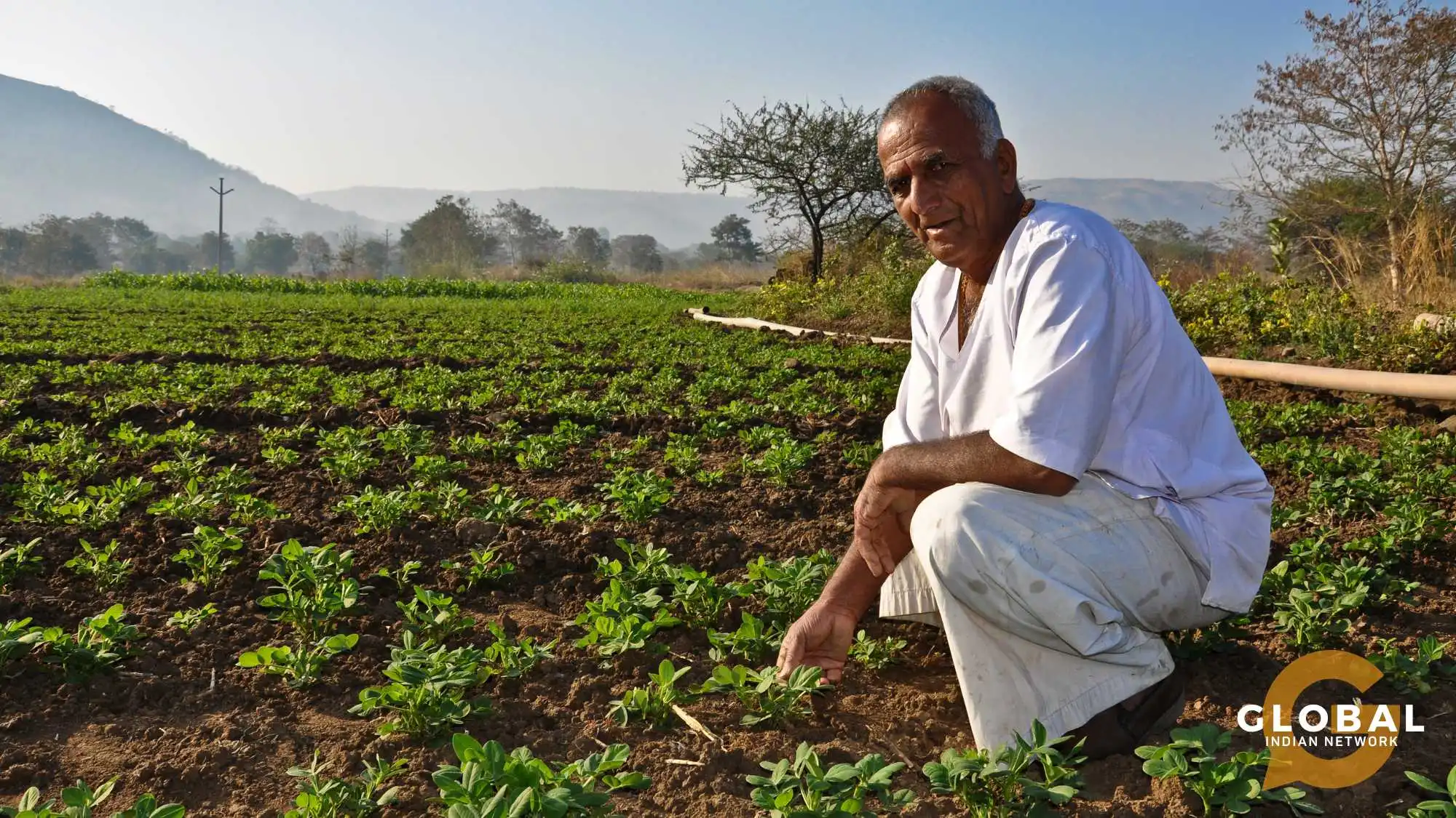 national mission for sustainable agriculture