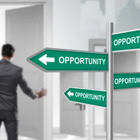 opportunities for entrepreneurs in india and abroad