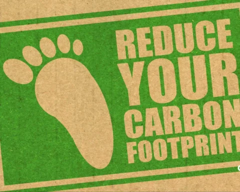 reduce ecological footprint