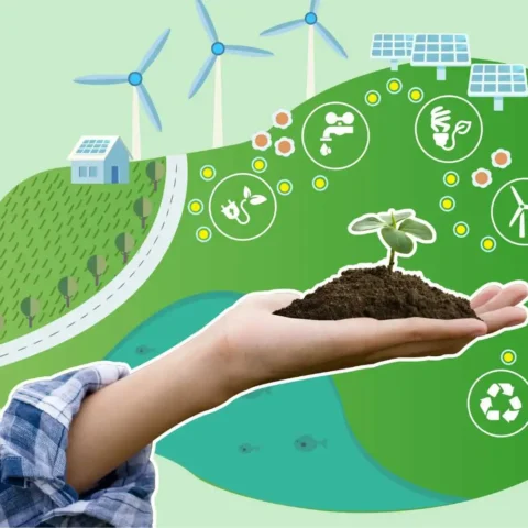 renewable energy