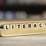 saint lucia's literacy rate