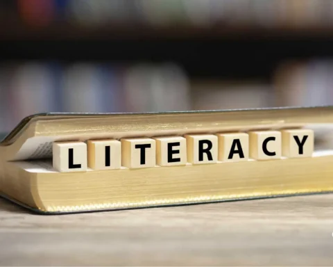 saint lucia's literacy rate