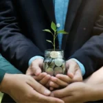 sell carbon credits in India