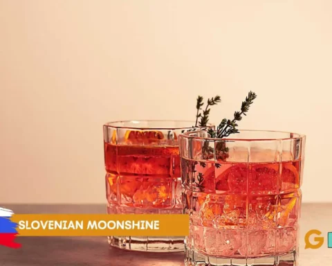 slovenian moonshine