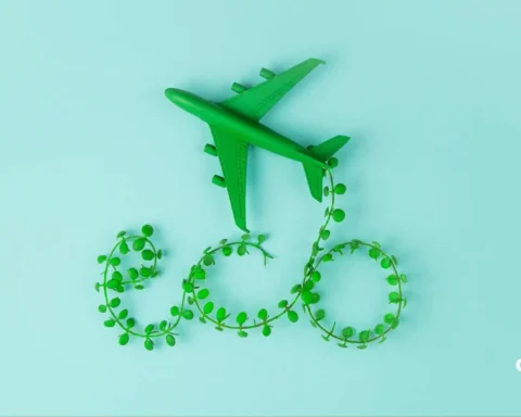 sustainable transport